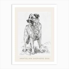 Anatolian Shepherd Dog Line Sketch 2 Poster Art Print