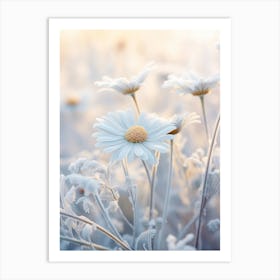 Frosty Botanical Oxeye Daisy 3 Art Print