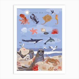 British Sea Life Art Print