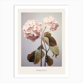 Floral Illustration Hydrangea 1 Poster Art Print