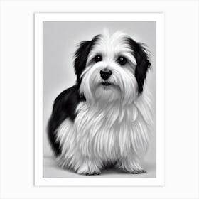 Havanese B&W Pencil Dog Art Print