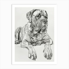 Mastiff Dog Line Sketch Art Print