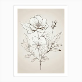 Hand Drawn Flowers Art Print