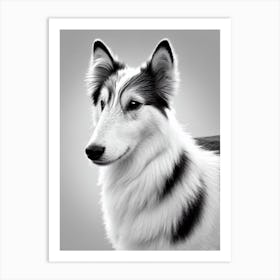 Shetland Sheepdog B&W Pencil Dog Art Print