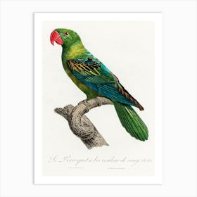 Great Billed Parrot, From Natural History Of Parrots, Francois Levaillant Art Print