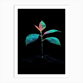 Neon Plant 25 Art Print