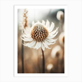 Pastel Mature Macro No 13 Art Print