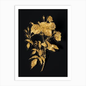 Vintage Ternaux Rose Bloom Botanical in Gold on Black n.0184 Art Print