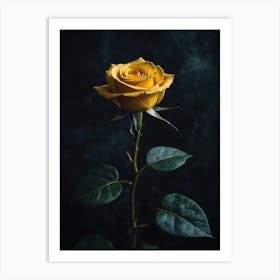 Yellow Rose On Dark Background Art Print