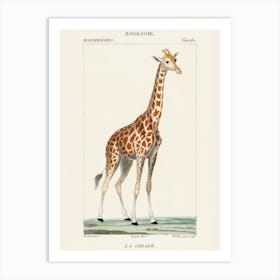 Giraffe 2 Art Print