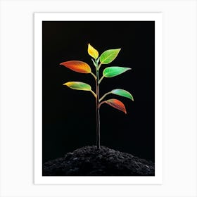 Plant Growing On Black Background Art Print