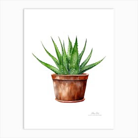 Aloe vera plant. Green plant. Beautiful plant. Thorns plant. Aloe vera flowers.6 Art Print