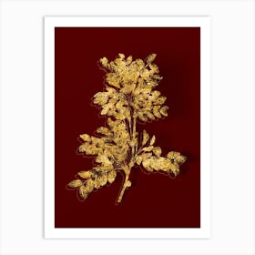 Vintage Siberian Pea Tree Botanical in Gold on Red n.0509 Art Print