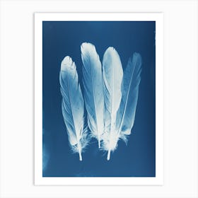 Feathers II Art Print