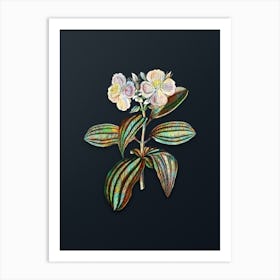 Vintage Starry Osbeckia Flower Botanical Watercolor Illustration on Dark Teal Blue n.0405 Art Print