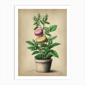 Macarons In A Pot Art Print