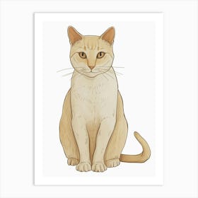 European Shorthair Cat Clipart Illustration 2 Art Print