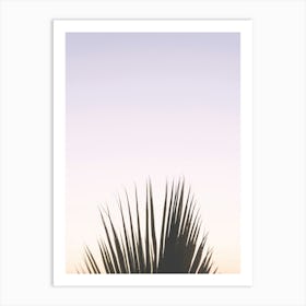 Purple And Pastel Sunset Palm Tree In Italy Art Print