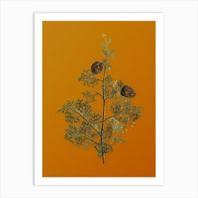 Vintage Mediterranean Cypress Botanical on Sunset Orange n.0179 Art Print