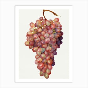 Grapes Stock Videos & Royalty-Free Footage Art Print