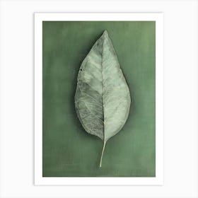 Leaf On A Green Background 1 Art Print