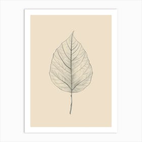 Leaf Drawing Art Print