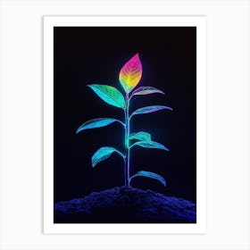 Rainbow Plant 21 Art Print