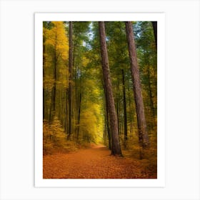 Autumn Forest Path 1 Art Print