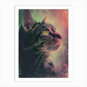 Polaroid Style Cat Portrait 3 Art Print