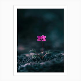 Small Flower On A Rock Art Print