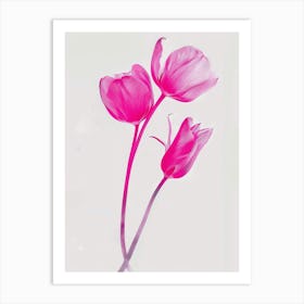 Hot Pink Tulip 1 Art Print