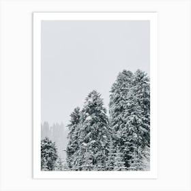Snowy Trees In Winter Art Print