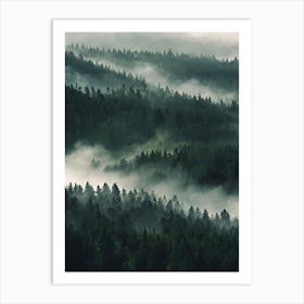 Misty Forest 1 Art Print