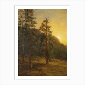 California Redwoods, Albert Bierstadt Art Print