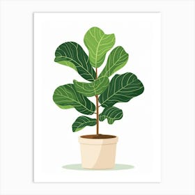 Fig Tree 2 Art Print