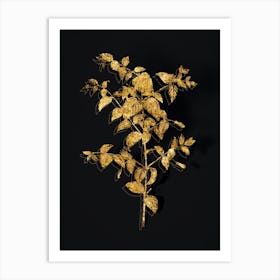 Vintage Tree Fuchsia Botanical in Gold on Black n.0168 Art Print