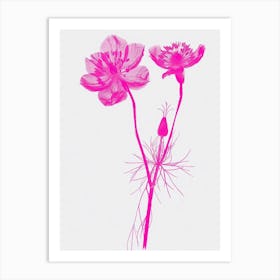 Hot Pink Nigella 1 Art Print