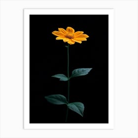 Single Yellow Flower 7 Art Print