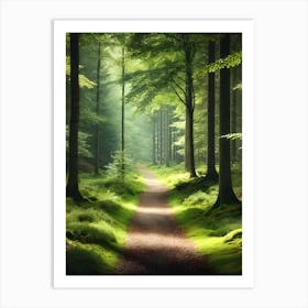 Path In The Forest Art Print