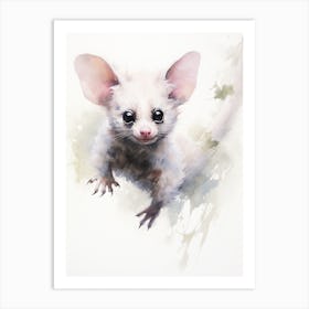 Light Watercolor Painting Of A Greater Glider 2 Art Print