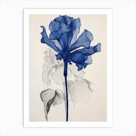 Blue Botanical Amaryllis 1 Art Print