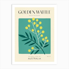 Vintage Green And Yellow Golden Wattle Flower Of Australia Art Print