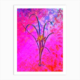Grass Leaved Iris Botanical in Acid Neon Pink Green and Blue n.0023 Art Print