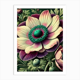 Anemone Flower Art Print