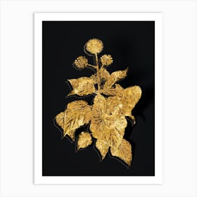 Vintage Common Ivy Botanical in Gold on Black Art Print