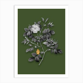 Vintage Malmedy Rose Black and White Gold Leaf Floral Art on Olive Green n.0220 Art Print
