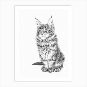 Maine Coon Cat Art Print