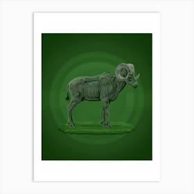 Ram Illustration 1 Art Print