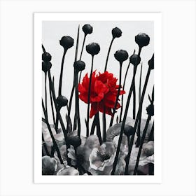 Black And Red Art Print