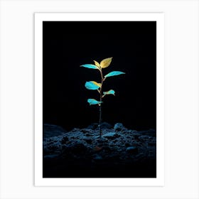 Young Plant In The Dark 2 Art Print